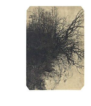 Rodolphe Bresdin